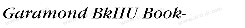 Garamond BkHU Book字体转换
